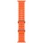 Часы Apple Watch Ultra 2 GPS + Cellular, 49 мм ремешок Ocean (оранжевый)