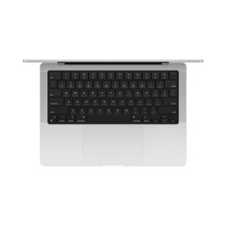 Apple MacBook Pro 14" M4 Max 14c CPU, 32c GPU, 36/1TB серебристый (2024)