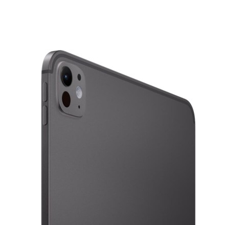 Планшет Apple iPad Pro 13" 2Tb (2024) Wi-Fi + Cellular нанотекстурное стекло «черный космос»